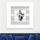 Muted Blue Sea Conch On Wood by Lanie Loreth on GIANT ART - coastal 