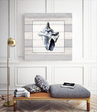 Muted Blue Sea Conch On Wood by Lanie Loreth on GIANT ART - coastal 