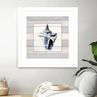 Muted Blue Sea Conch On Wood by Lanie Loreth on GIANT ART - coastal 