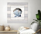 Muted Blue Sea Shell on Wood by Lanie Loreth on GIANT ART - coastal 