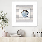 Muted Blue Sea Shell on Wood by Lanie Loreth on GIANT ART - coastal 