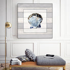 Muted Blue Sea Shell on Wood by Lanie Loreth on GIANT ART - coastal 