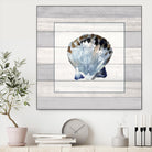 Muted Blue Sea Shell on Wood by Lanie Loreth on GIANT ART - coastal 