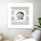 Muted Blue Sea Shell on Wood by Lanie Loreth on GIANT ART - coastal 