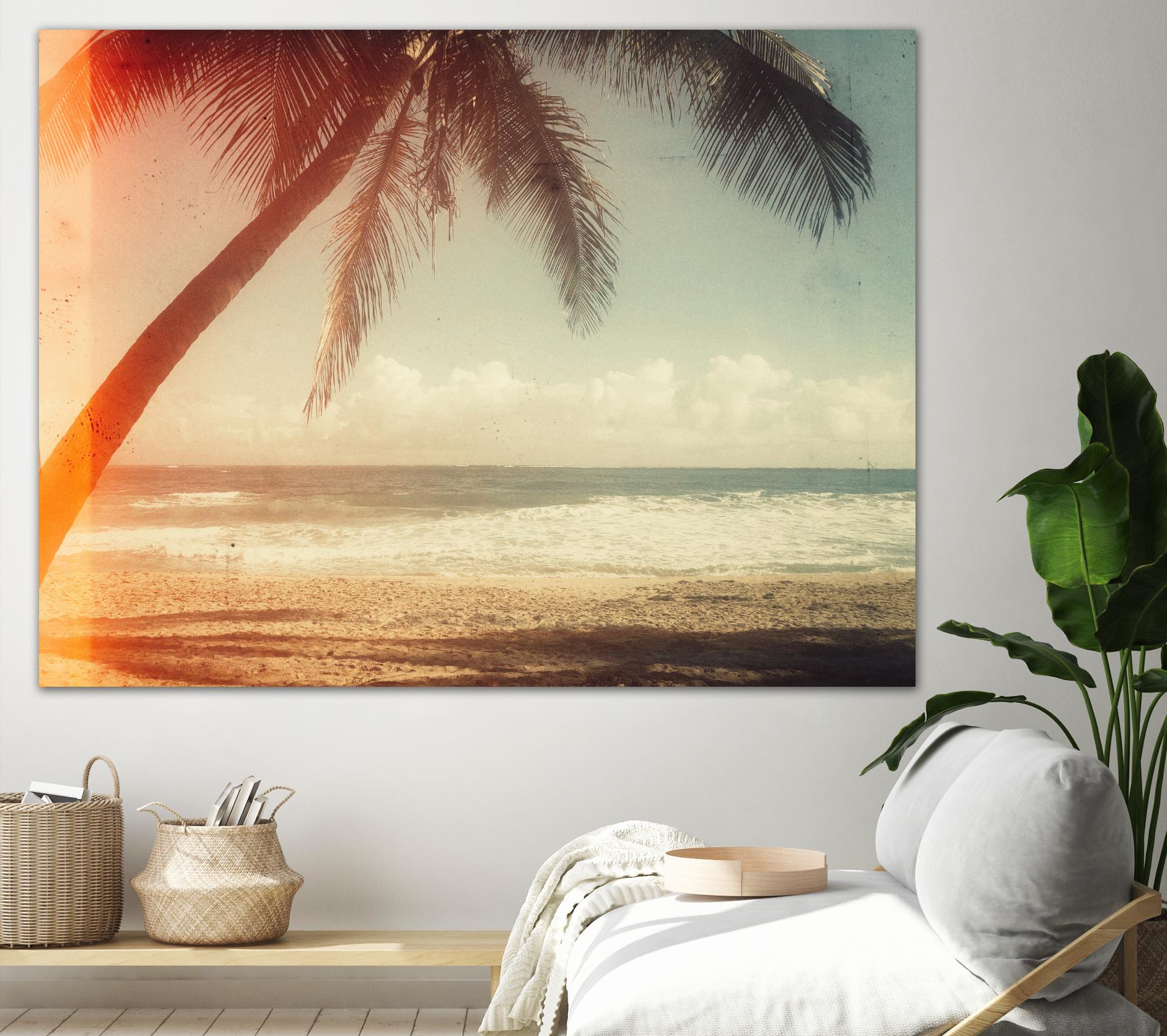 Single Palm by Acosta on GIANT ART - multi photography