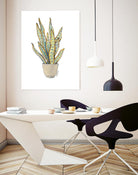 Mother In Law Plant in Pot by Lanie Loreth on GIANT ART - floral southwestern and western