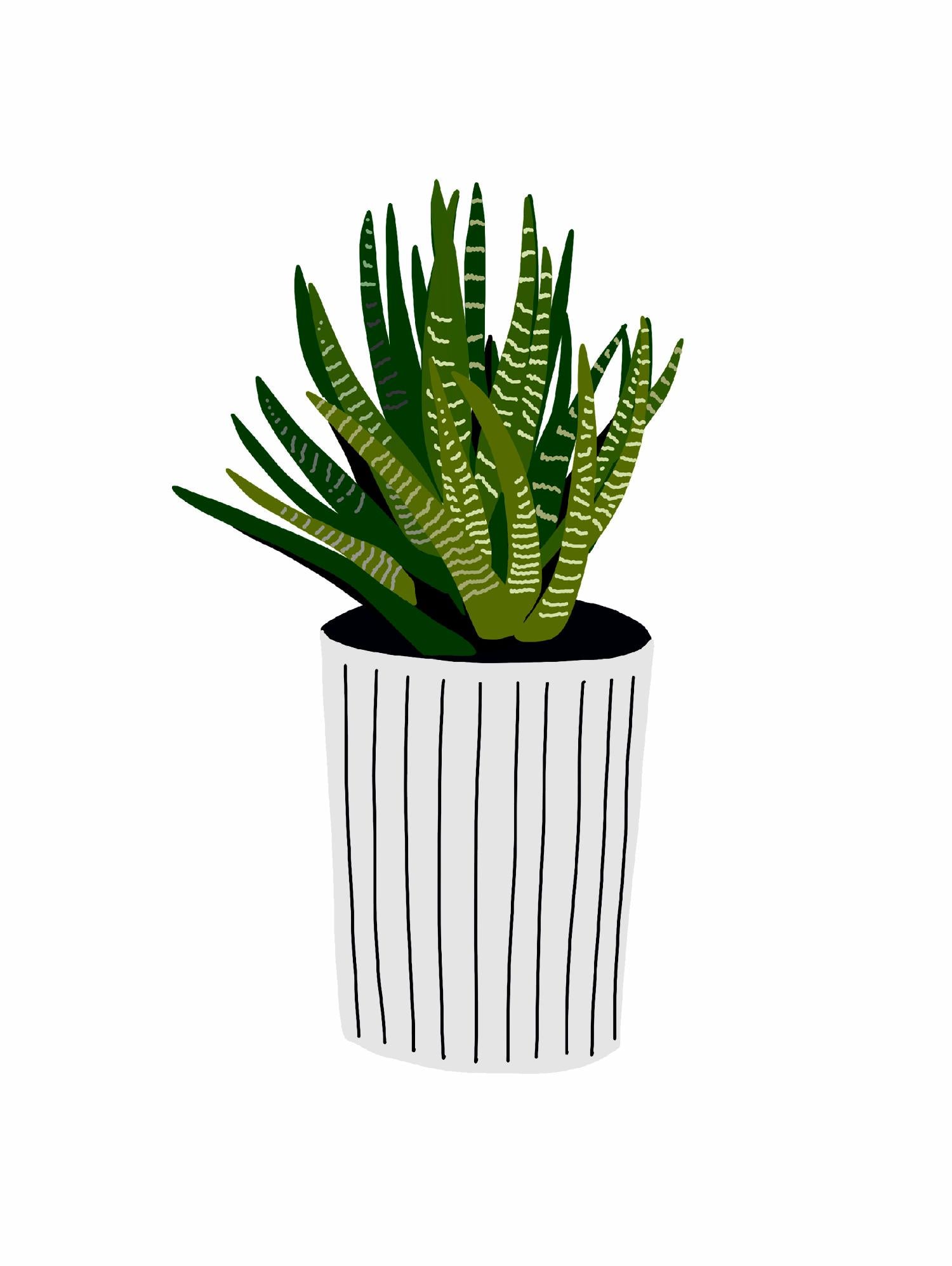 Modern Cactus Stripe Pot by Jen Bucheli on GIANT ART - floral 