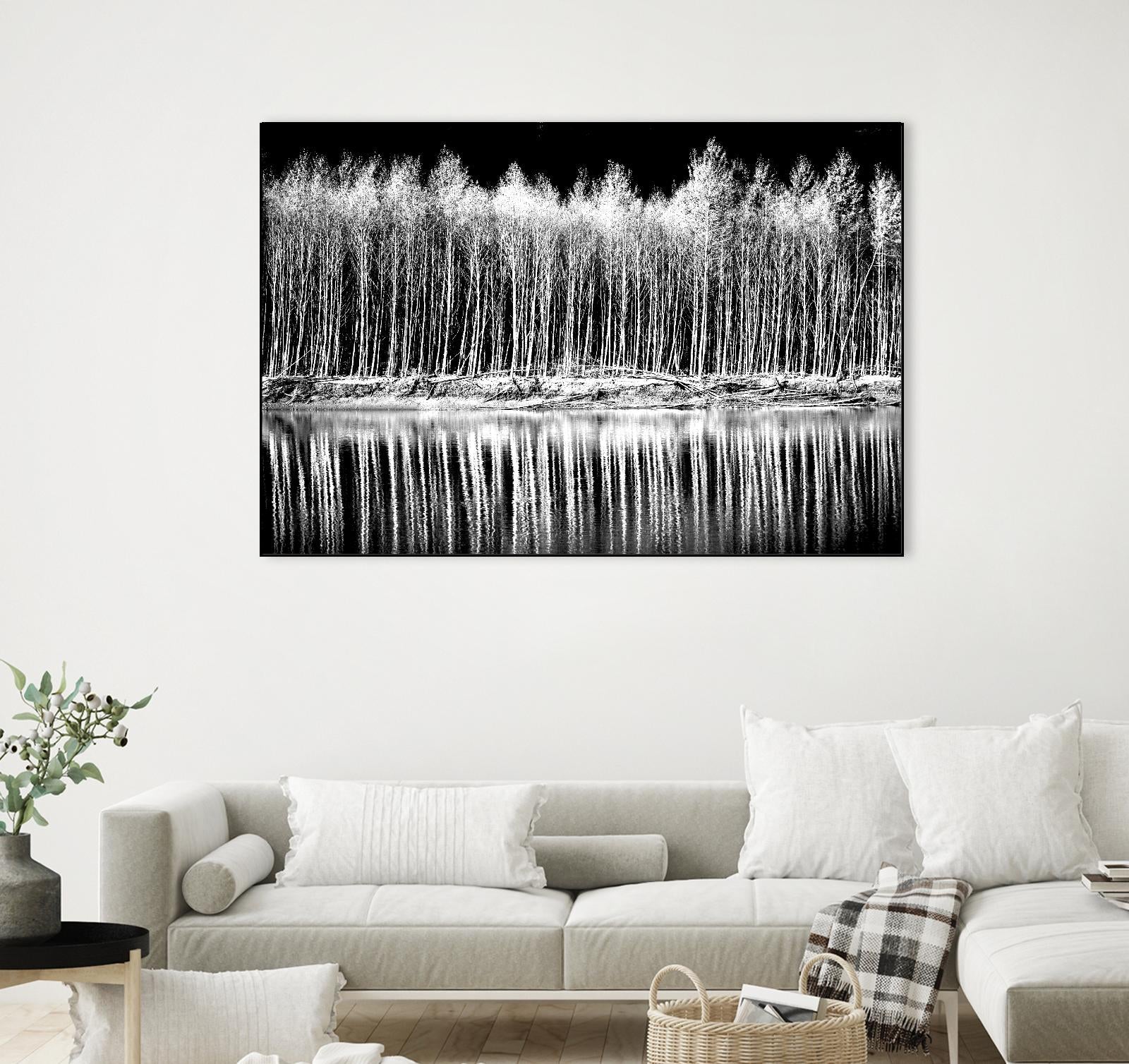 Photograph 1 by Aaron Matheson on GIANT ART - white landscape
