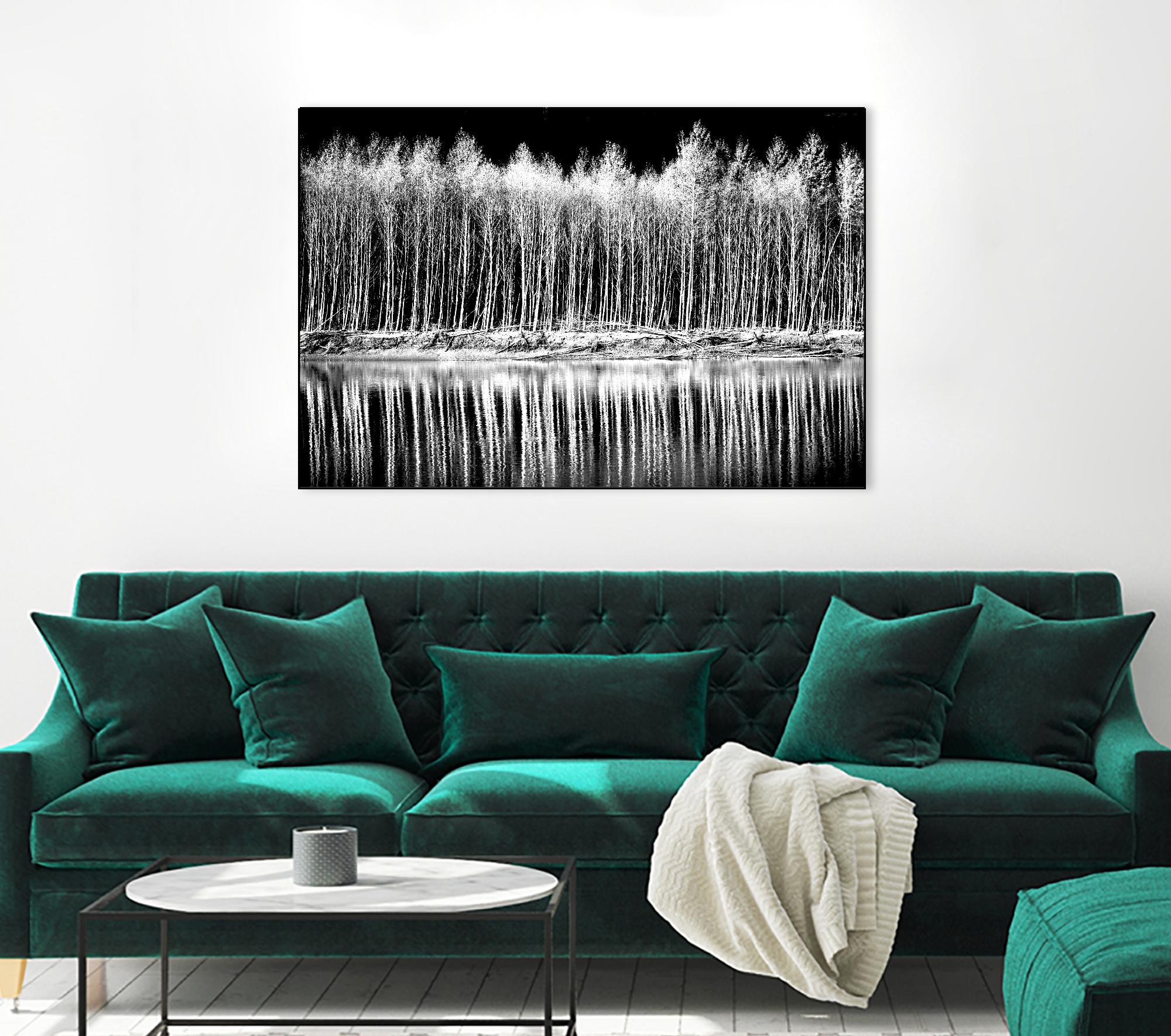 Photograph 1 by Aaron Matheson on GIANT ART - white landscape