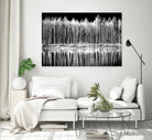 Photograph 1 by Aaron Matheson on GIANT ART - white landscape