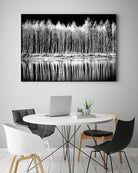 Photograph 1 by Aaron Matheson on GIANT ART - white landscape