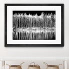 Photograph 1 by Aaron Matheson on GIANT ART - white landscape