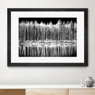 Photograph 1 by Aaron Matheson on GIANT ART - white landscape