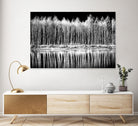 Photograph 1 by Aaron Matheson on GIANT ART - white landscape