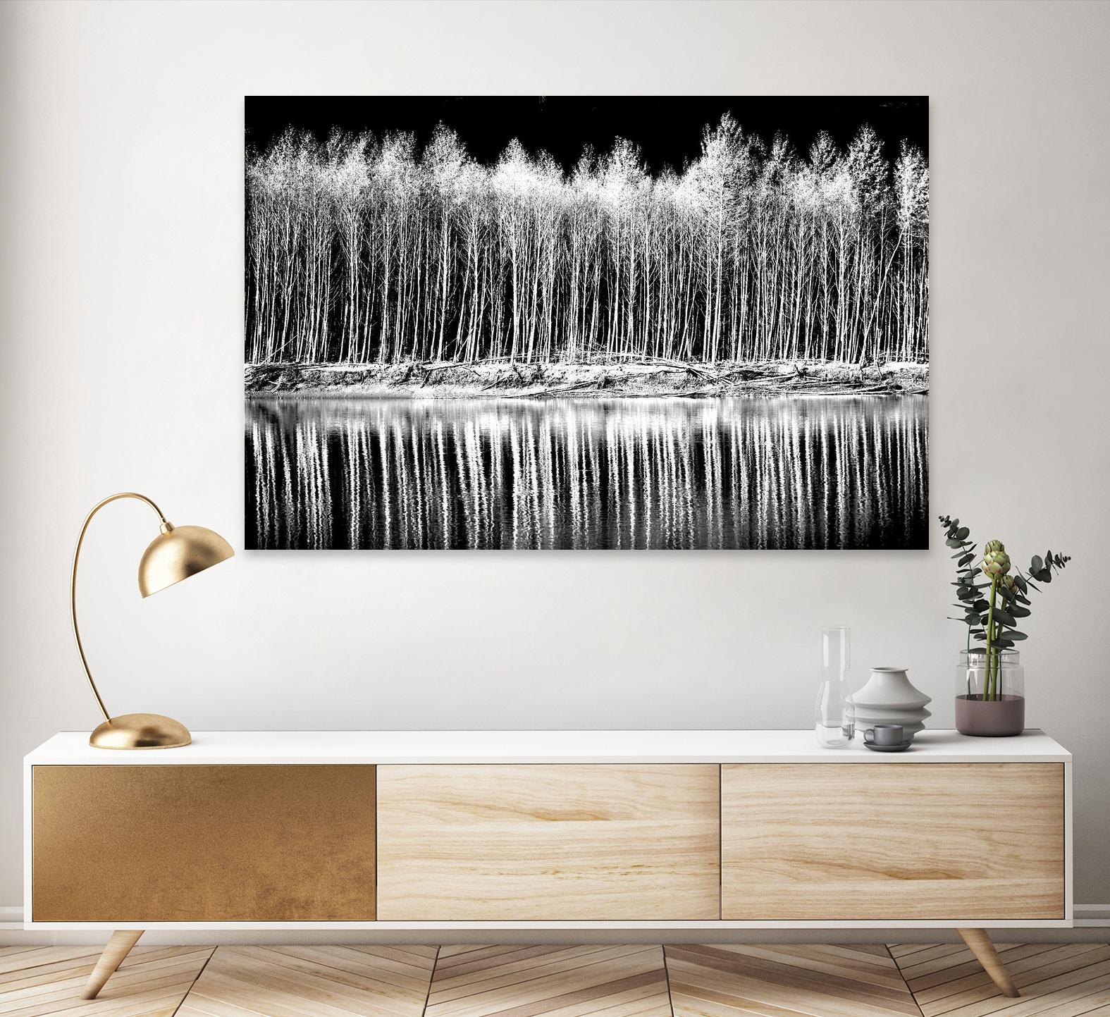 Photograph 1 by Aaron Matheson on GIANT ART - white landscape