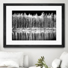 Photograph 1 by Aaron Matheson on GIANT ART - white landscape