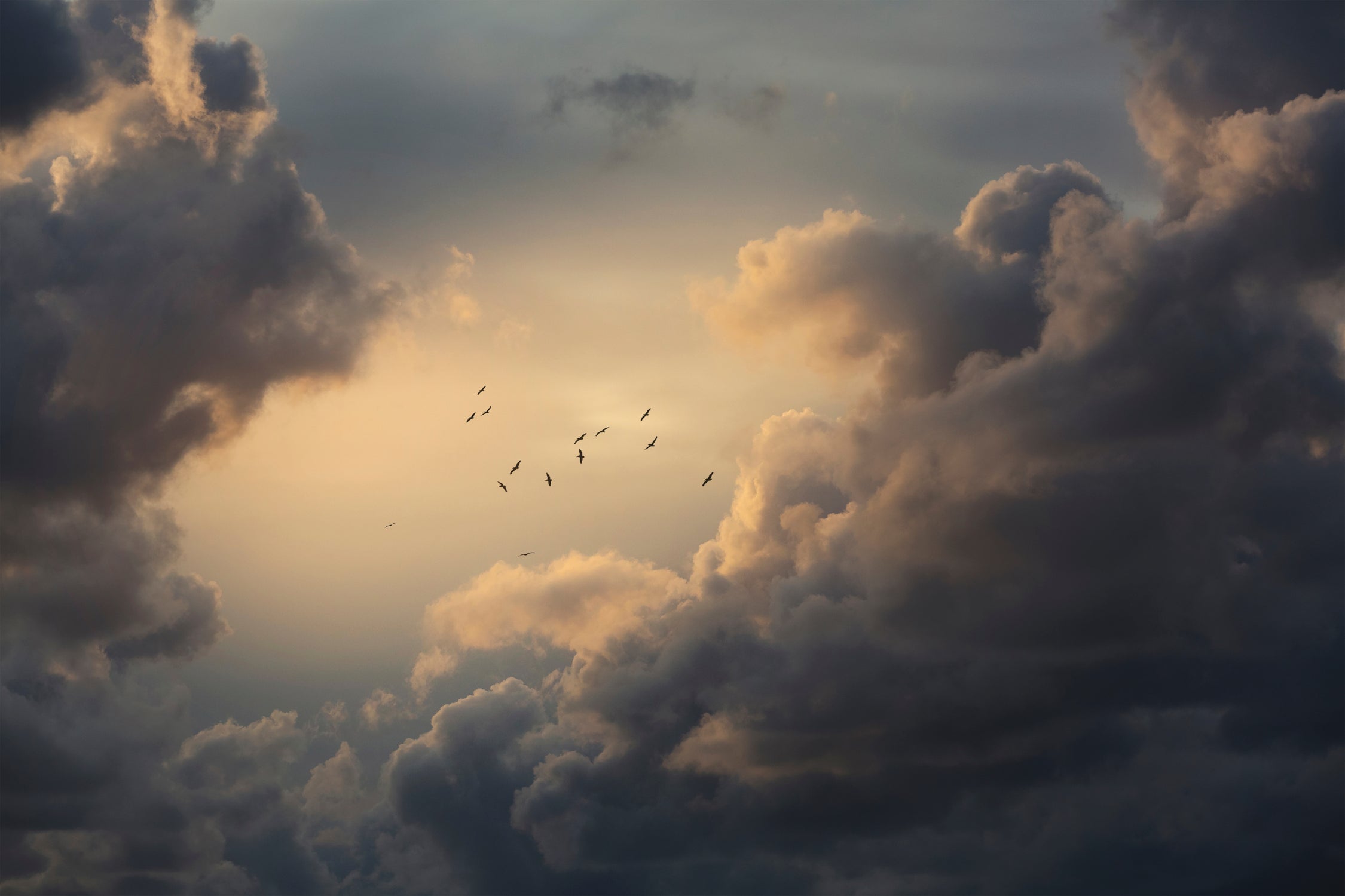 Soaring High Above by Thomas Tepstad Berge on GIANT ART - clouds photography clouds