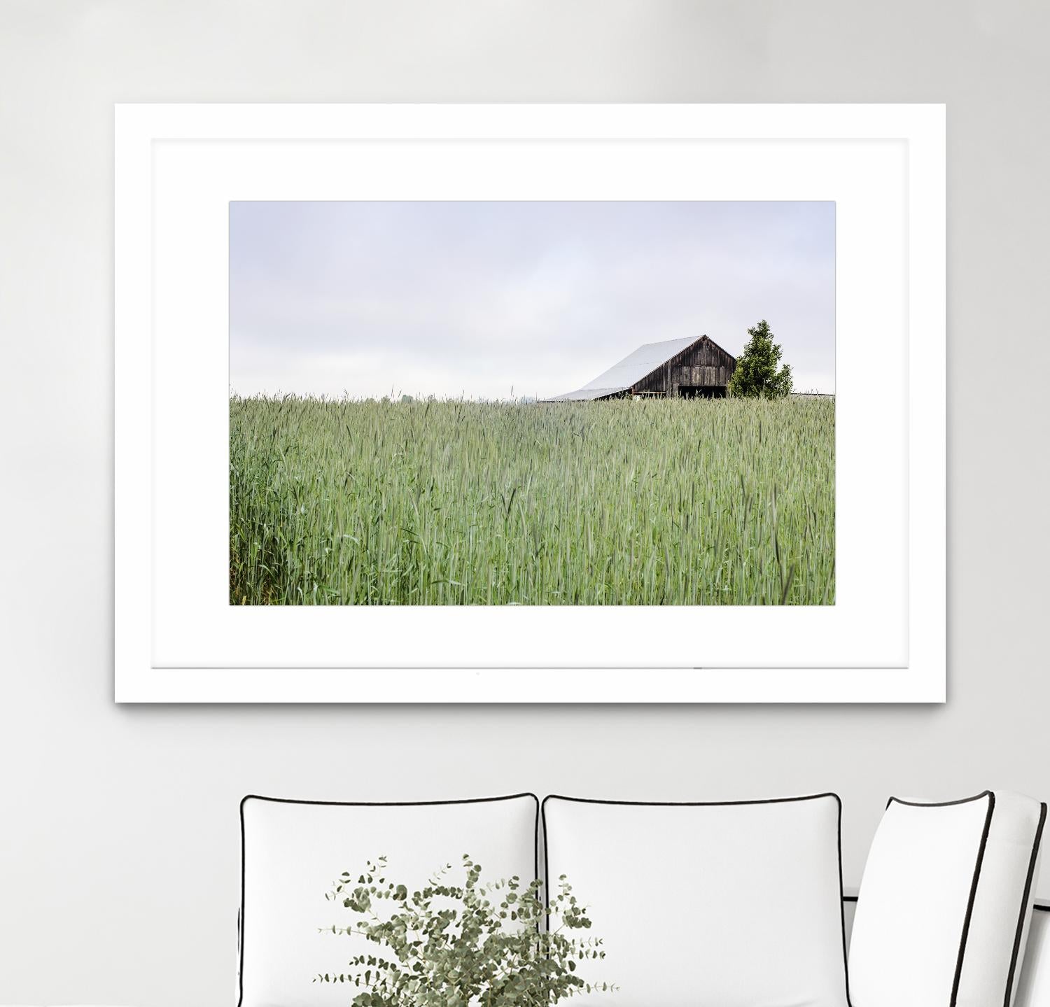 Summer Feel by Nancy Crowell on GIANT ART - grey photo art