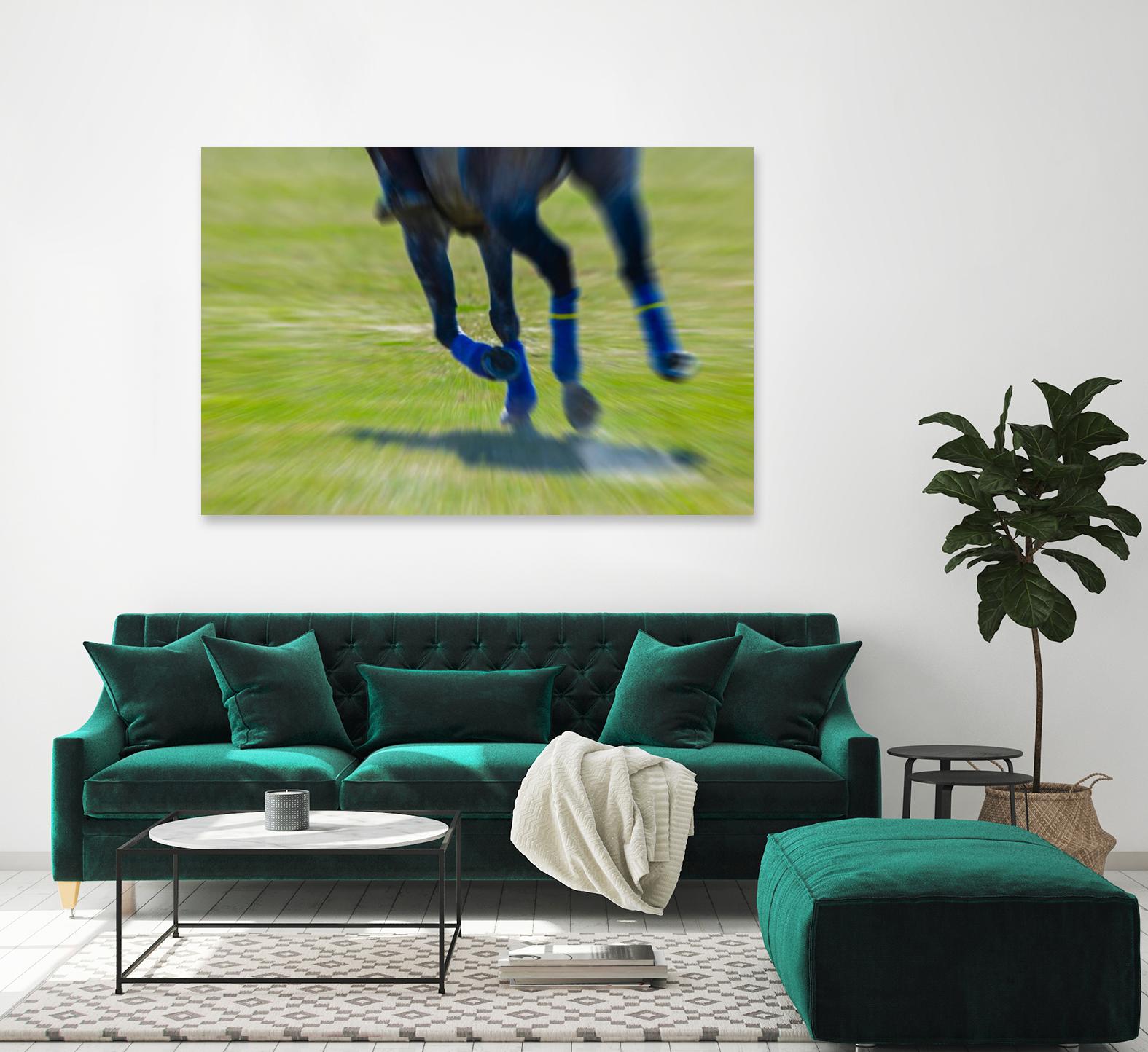 Photograph 2 by Nancy Crowell on GIANT ART - green animals horse