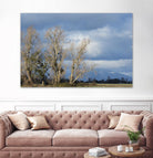 Almost Spring by Nancy Crowell on GIANT ART - beige landscape
