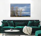 Almost Spring by Nancy Crowell on GIANT ART - beige landscape