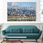 Takeoff by Nancy Crowell on GIANT ART - beige landscape