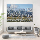 Takeoff by Nancy Crowell on GIANT ART - beige landscape