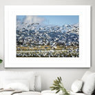 Takeoff by Nancy Crowell on GIANT ART - beige landscape