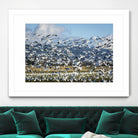 Takeoff by Nancy Crowell on GIANT ART - beige landscape