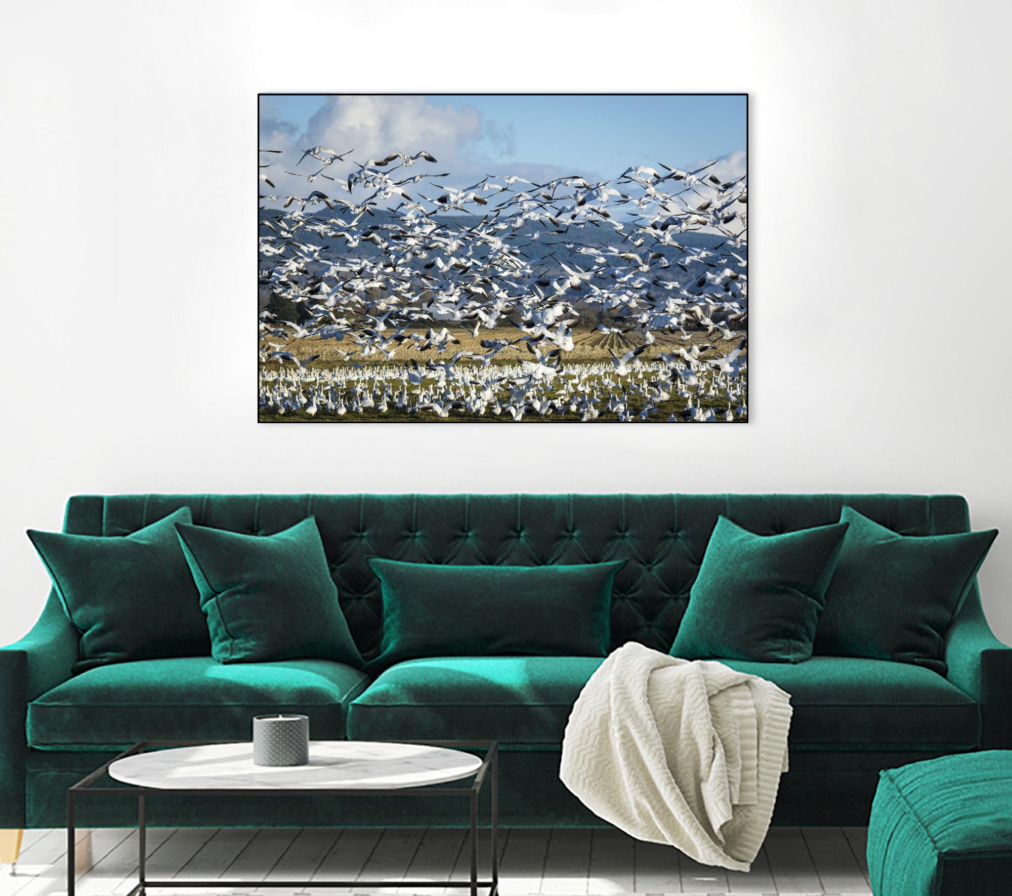 Takeoff by Nancy Crowell on GIANT ART - beige landscape