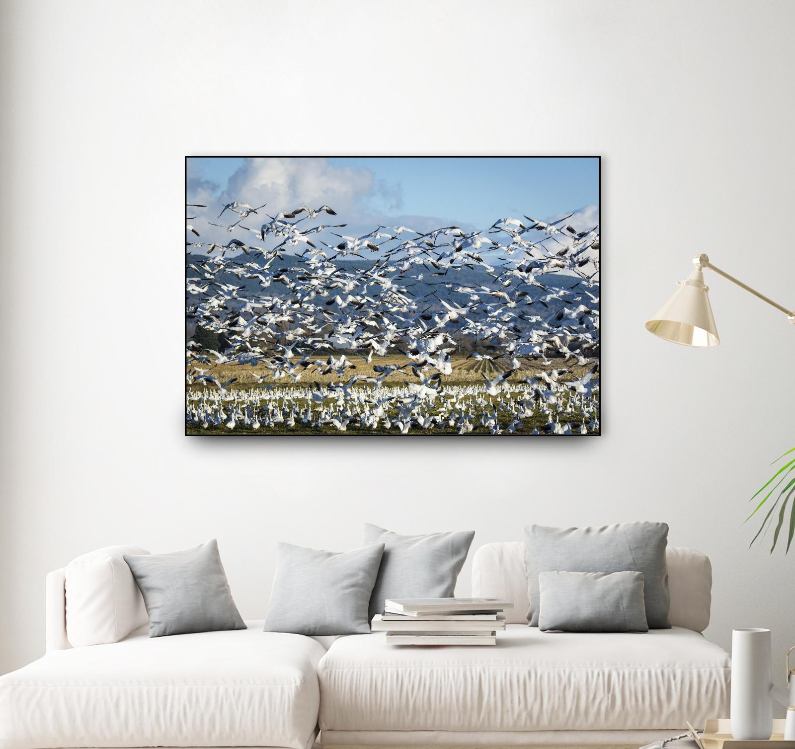 Takeoff by Nancy Crowell on GIANT ART - beige landscape