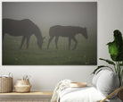 Photograph 3 by Nancy Crowell on GIANT ART - grey animals
