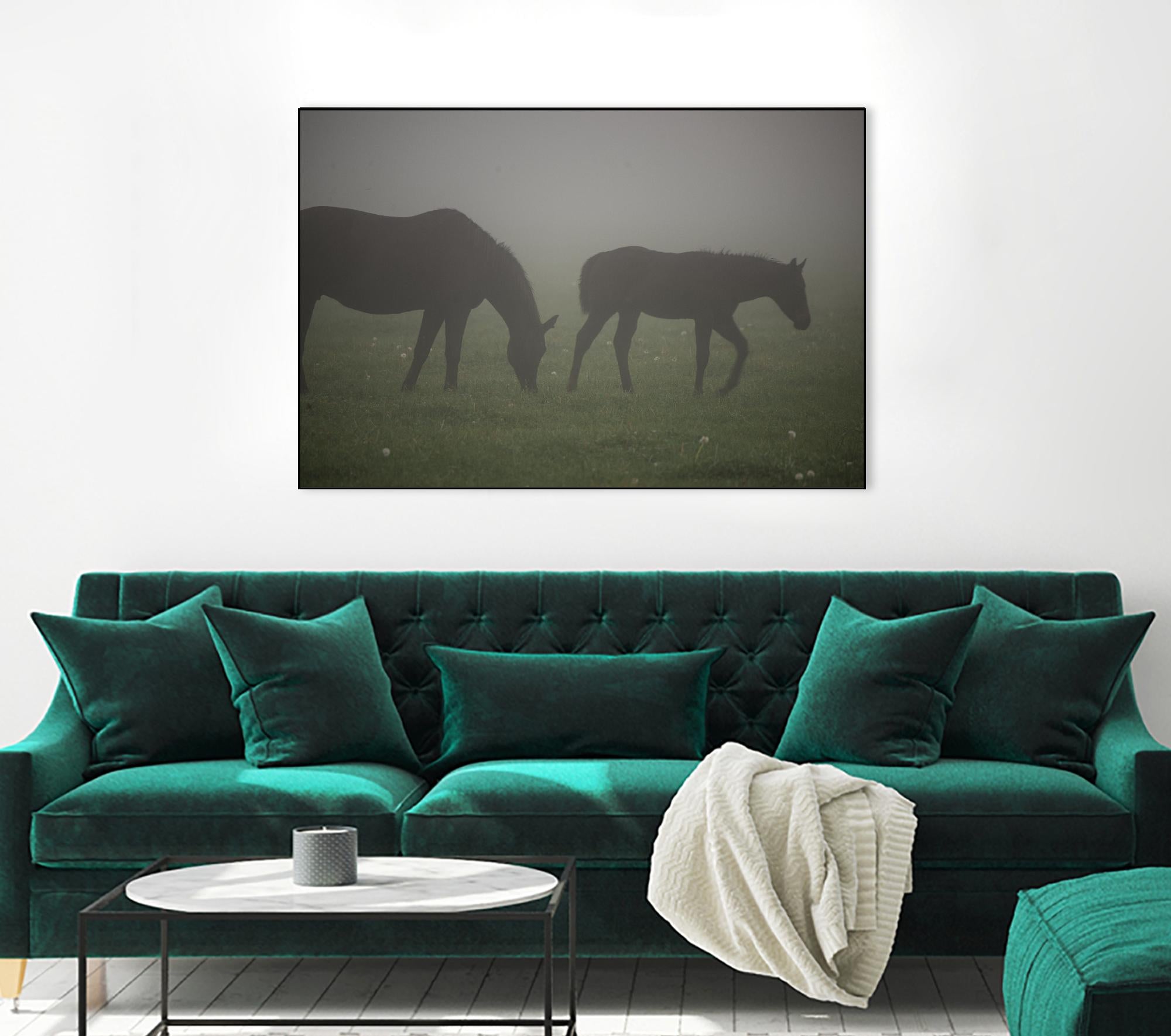 Photograph 3 by Nancy Crowell on GIANT ART - grey animals