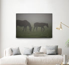 Photograph 3 by Nancy Crowell on GIANT ART - grey animals