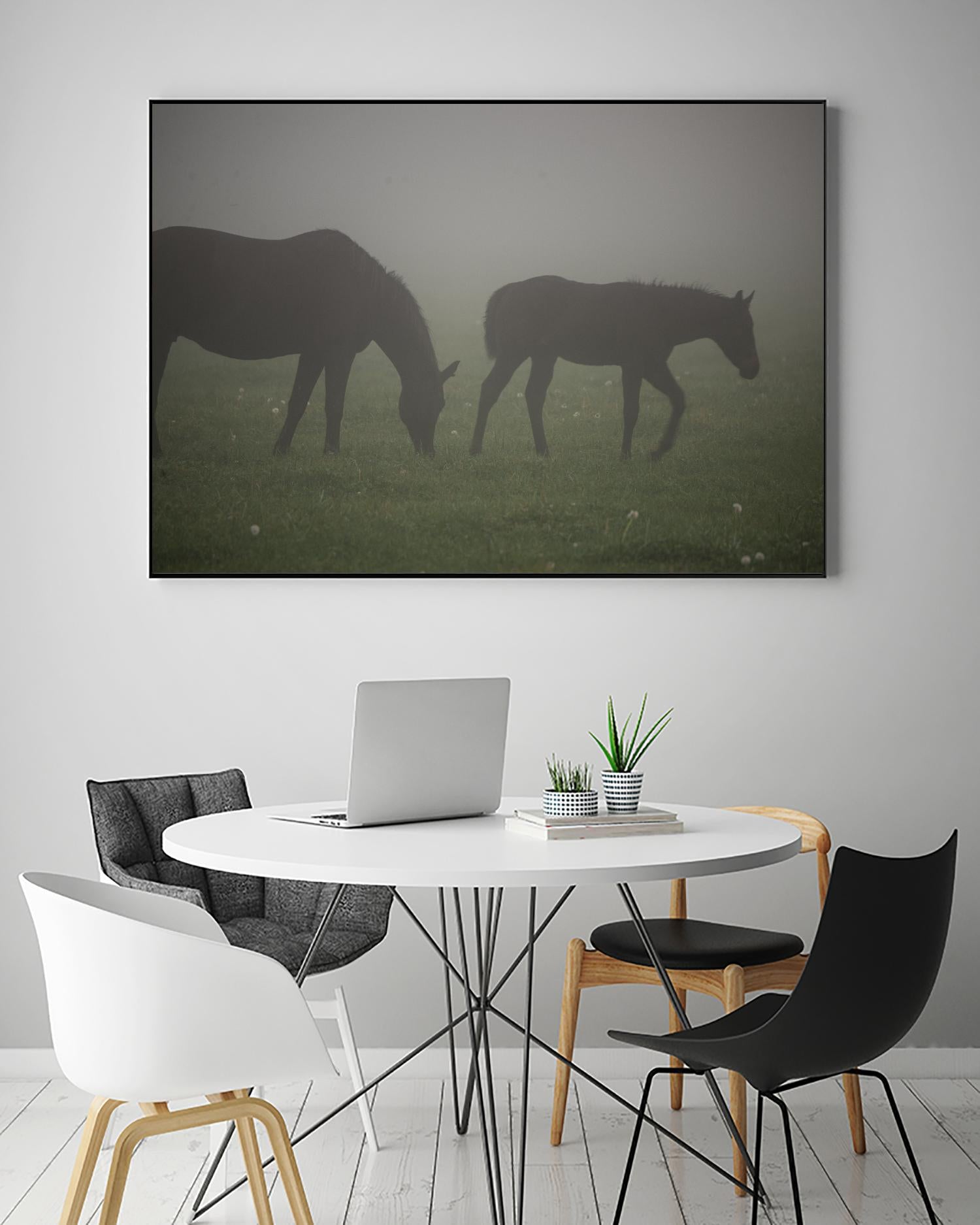 Photograph 3 by Nancy Crowell on GIANT ART - grey animals