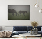 Photograph 3 by Nancy Crowell on GIANT ART - grey animals