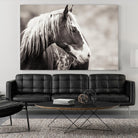 Wild Paint by Erle KaCee on GIANT ART - white animals