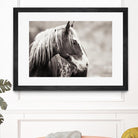 Wild Paint by Erle KaCee on GIANT ART - white animals