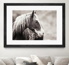 Wild Paint by Erle KaCee on GIANT ART - white animals