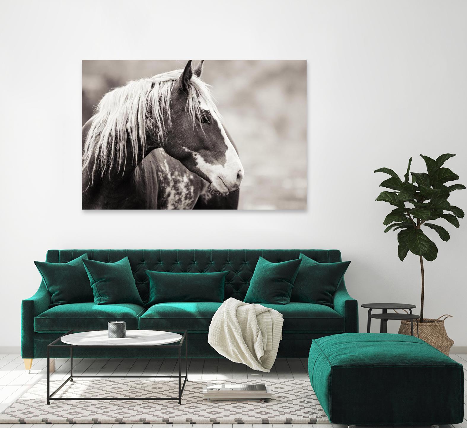Wild Paint by Erle KaCee on GIANT ART - white animals
