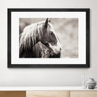 Wild Paint by Erle KaCee on GIANT ART - white animals