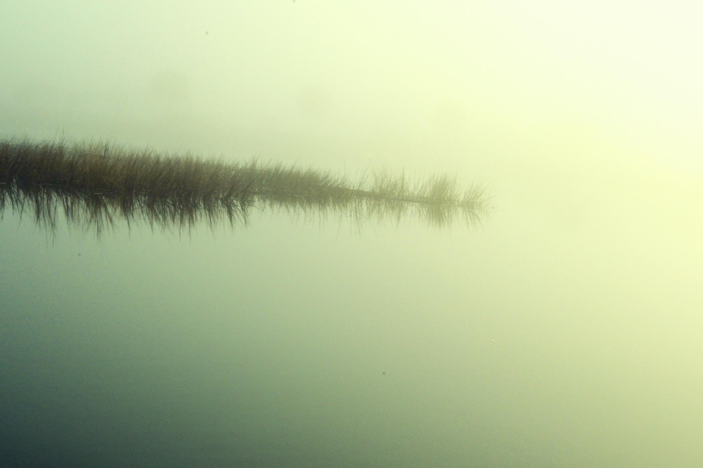 Peaceful Morning by Lori Prenner on GIANT ART - brown landscape