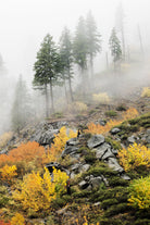 Photograph 8 by Aaron Matheson on GIANT ART - green landscape