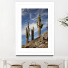 Photograph 9 by Aaron Matheson on GIANT ART - green landscape