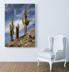 Photograph 9 by Aaron Matheson on GIANT ART - green landscape