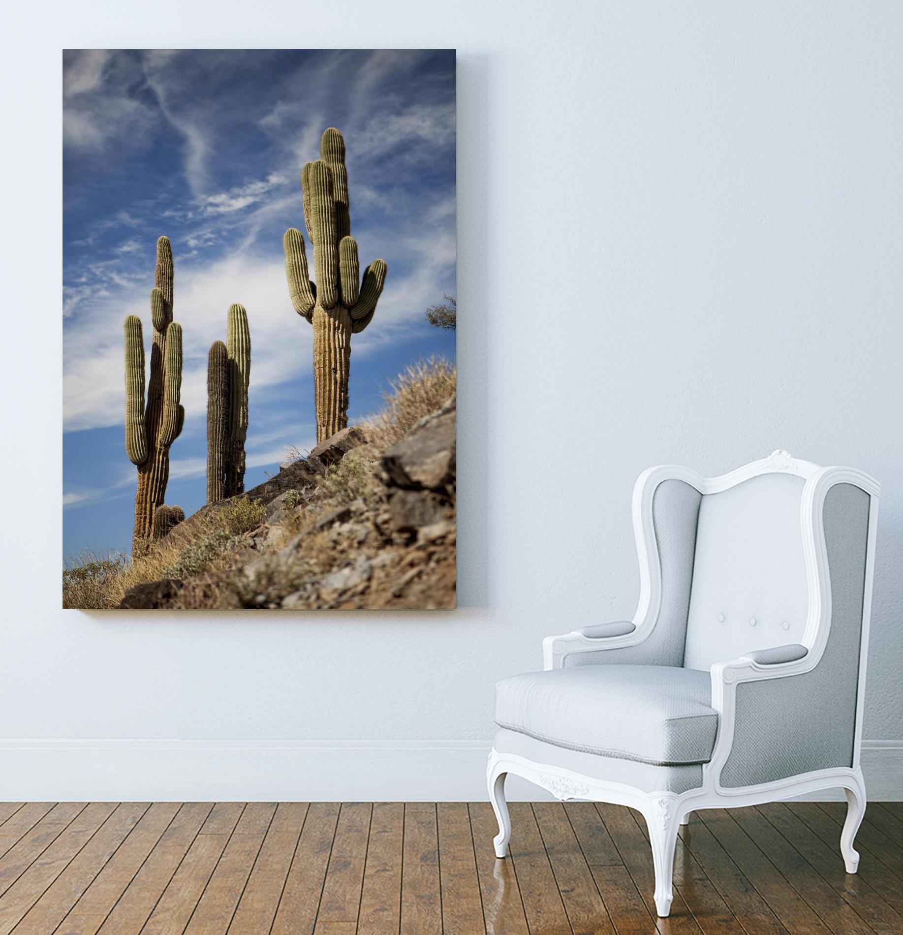 Photograph 9 by Aaron Matheson on GIANT ART - green landscape