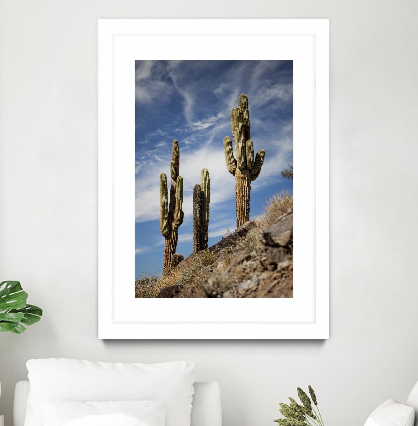 Photograph 9 by Aaron Matheson on GIANT ART - green landscape