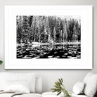 Green Dreams by Aaron Matheson on GIANT ART - white landscape