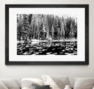 Green Dreams by Aaron Matheson on GIANT ART - white landscape