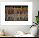 Golden Visions by Aaron Matheson on GIANT ART - grey landscape